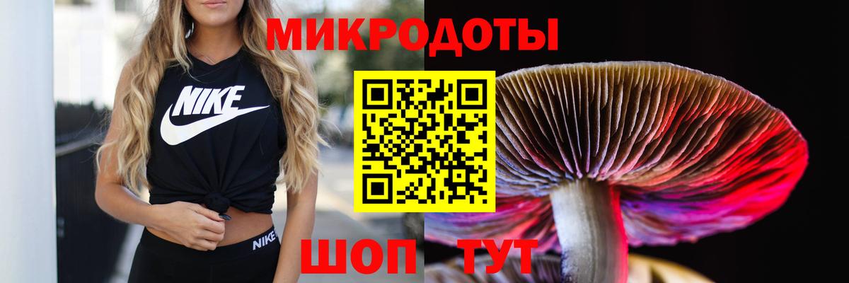 Павловский Посад  Псилоцибиновые грибы MAGIC MUSHROOMS  Псилоцибиновые грибы GOLDEN TEACHER  Вход с VPN 